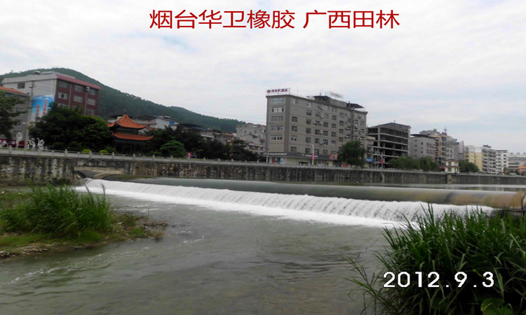 Guangxi Tianlin Rubber Dam 2